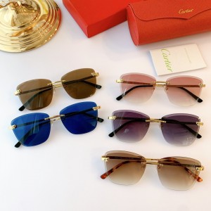 Cartier ct0211s Sunglasses ASS050169 Updated in 2020.09.30